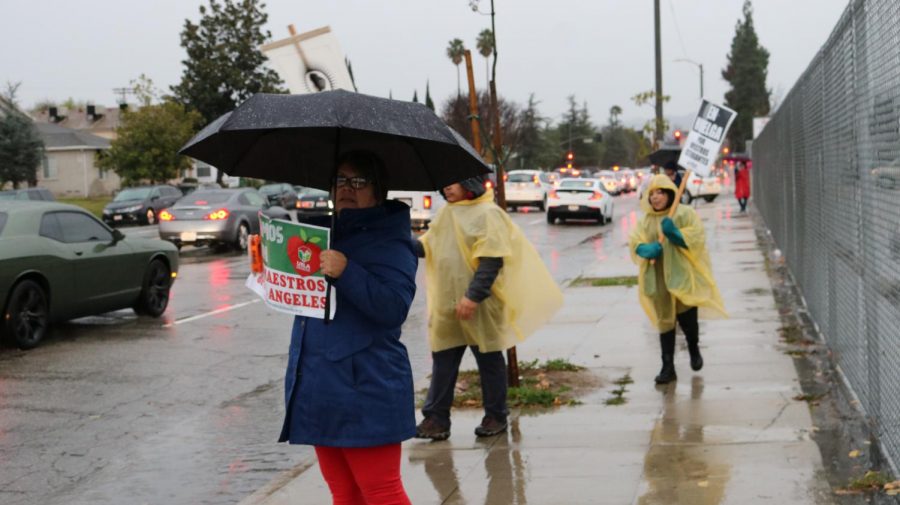 Cars honk in support of the picket line.