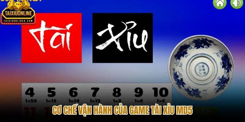 Tài xỉu MD5 với lớp kết quả và dữ liệu đối chiếu